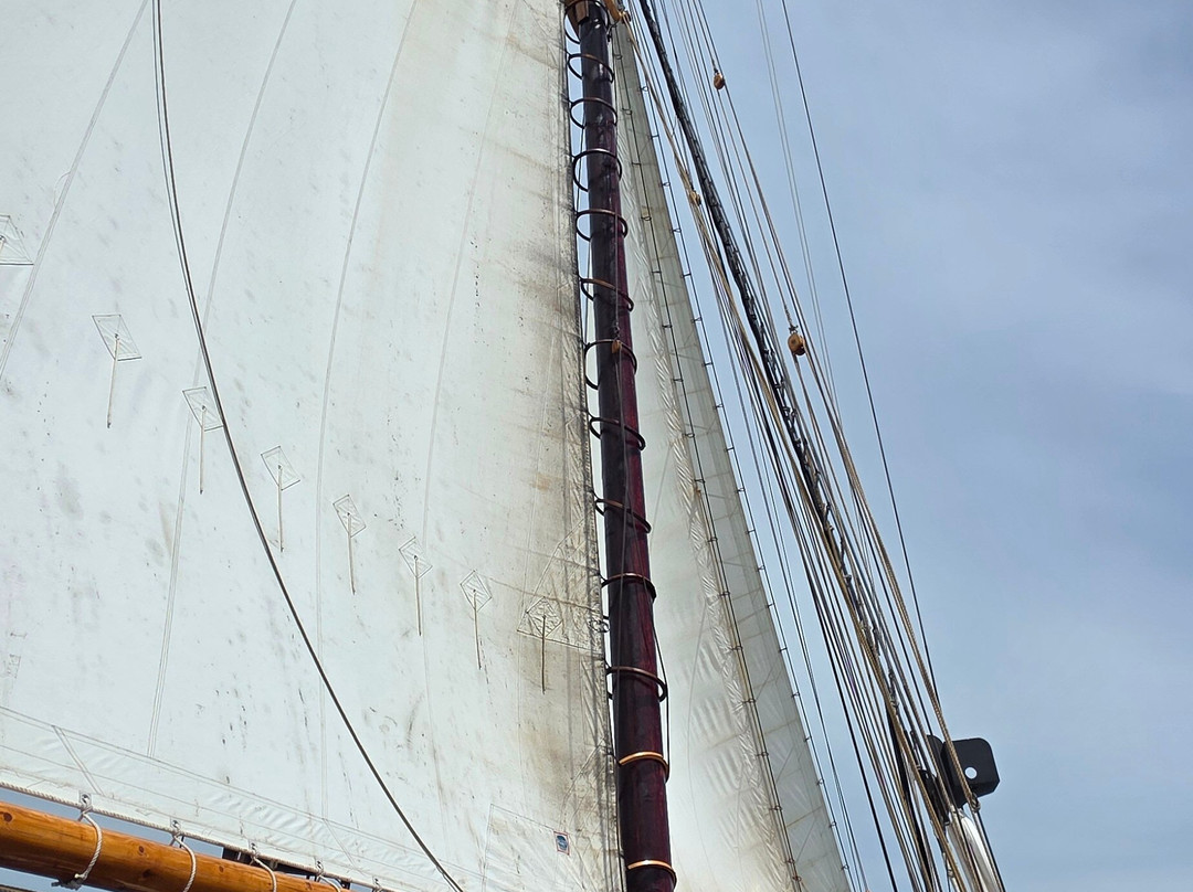 Bluenose II-卢嫩堡必去景点