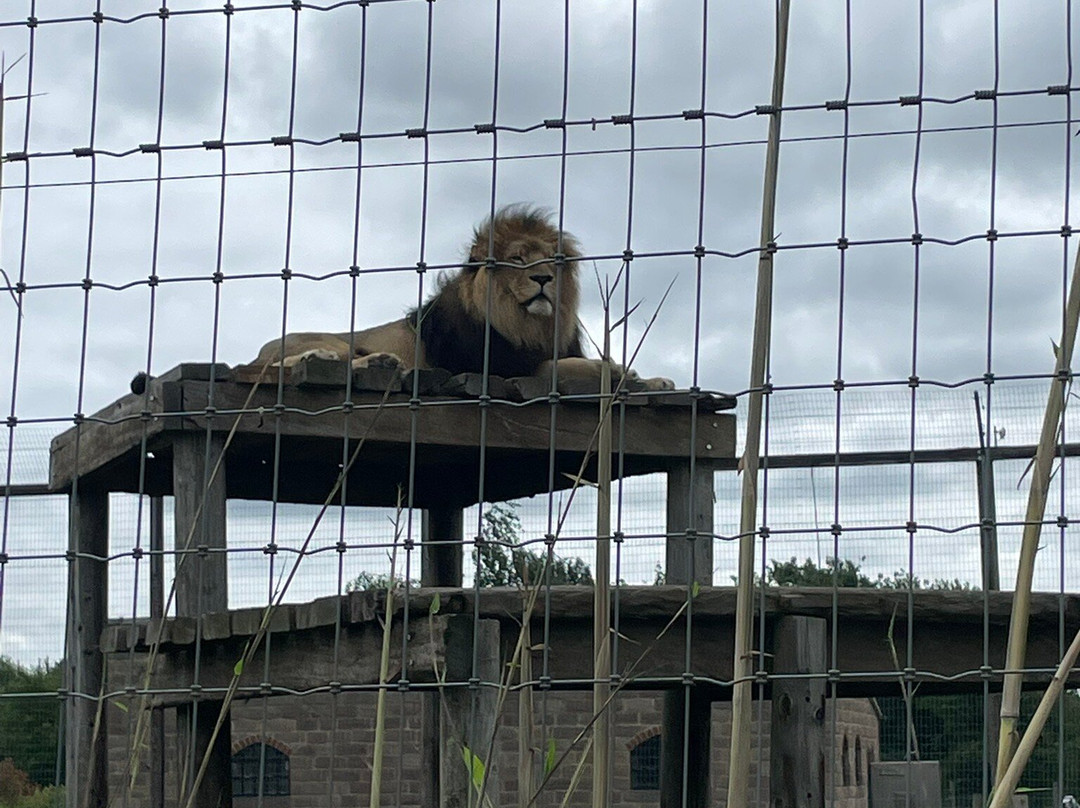 Wolds Wildlife Park-Horncastle必去景点