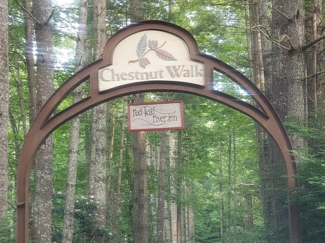 Red Leaf River Inn主图