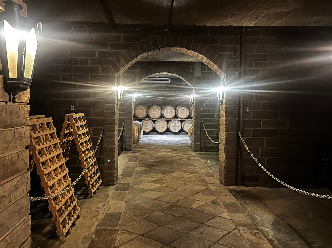 Vinícola Cave De Pedra-本图贡萨尔维斯必去景点