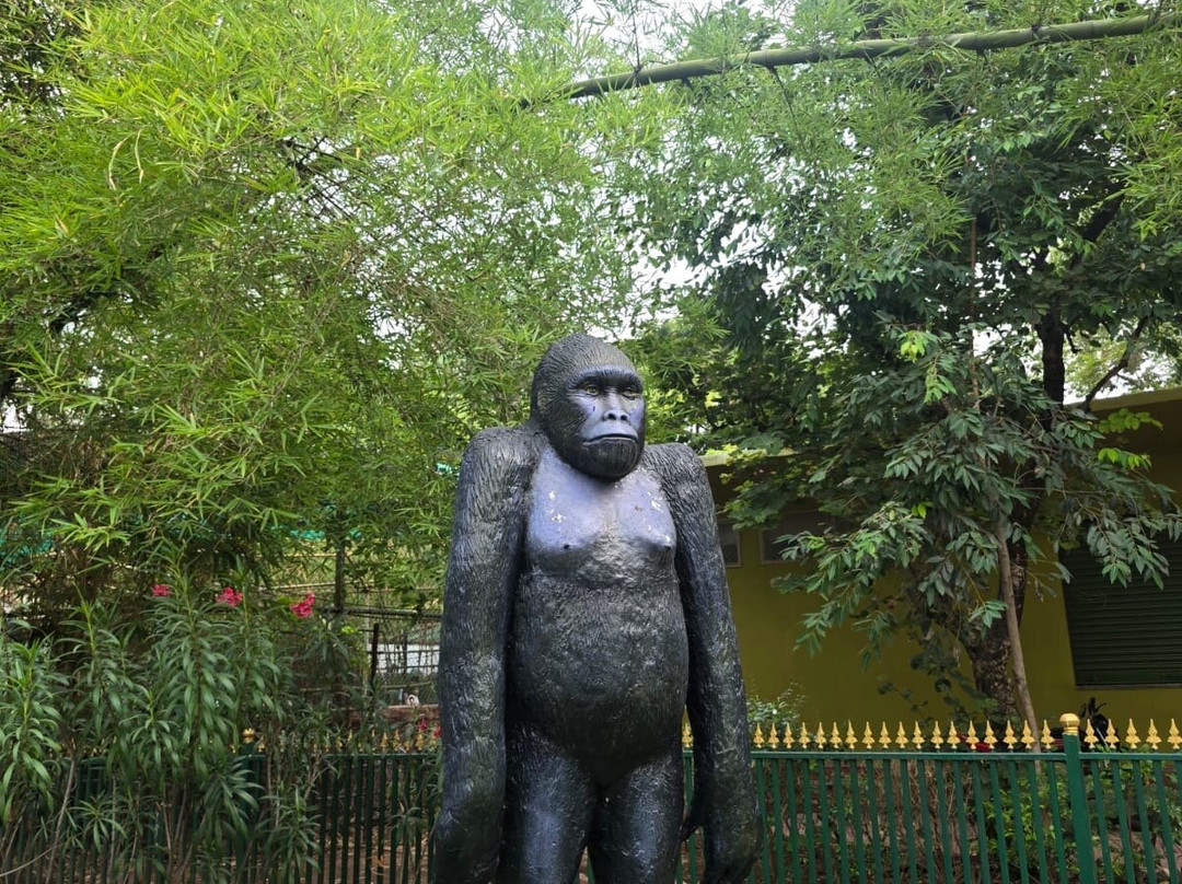 Nehru Zoological Park-海德拉巴必去景点