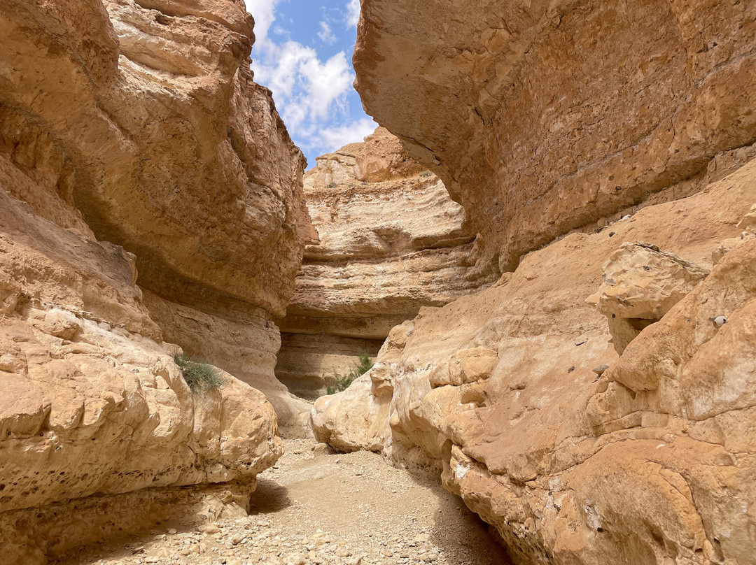 Tamerza Canyon-吐泽尔必去景点