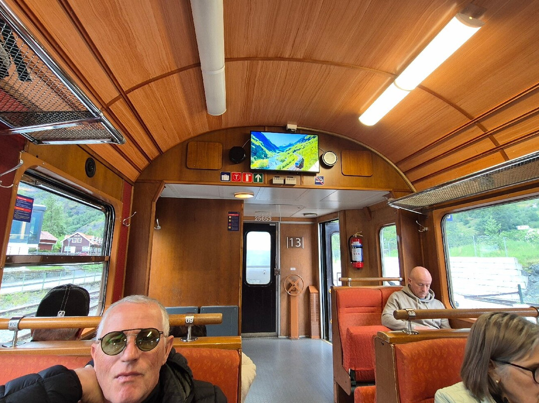 Tren De Flåm-弗洛姆必去景点