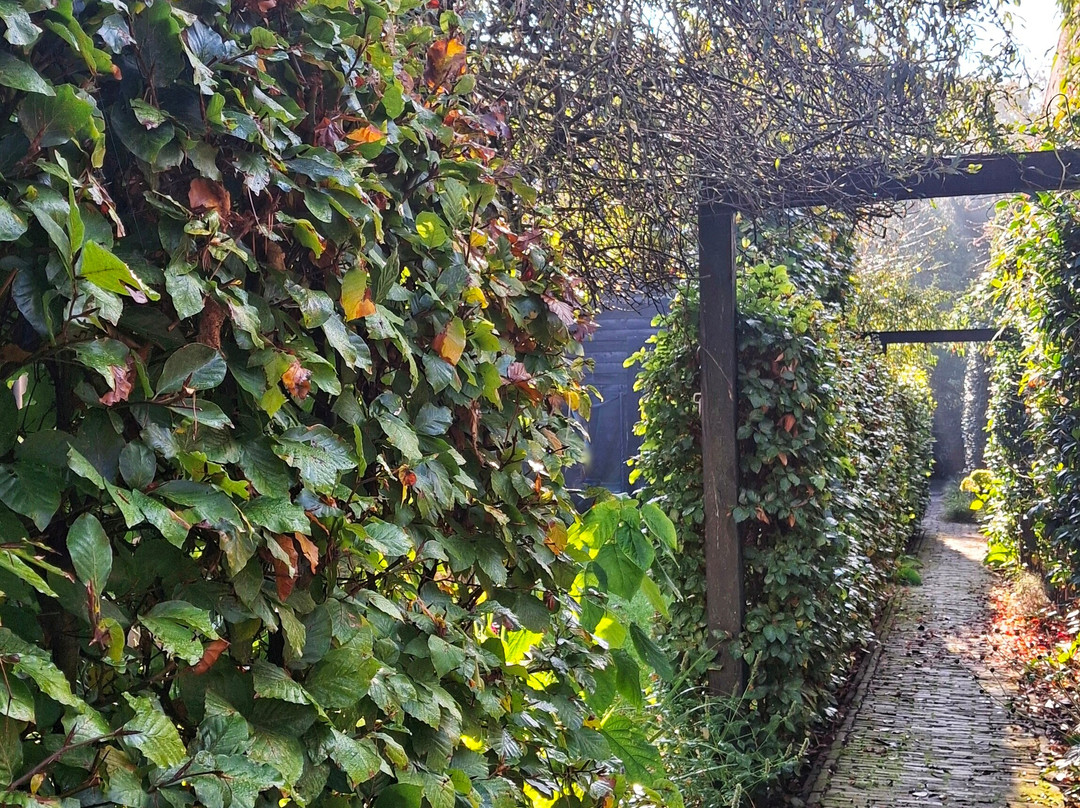 Inn the Green