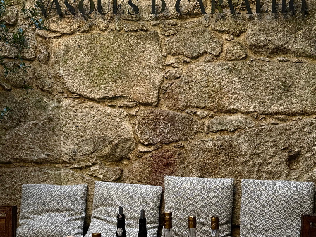 Vasques De Carvalho-加亚新城必去景点