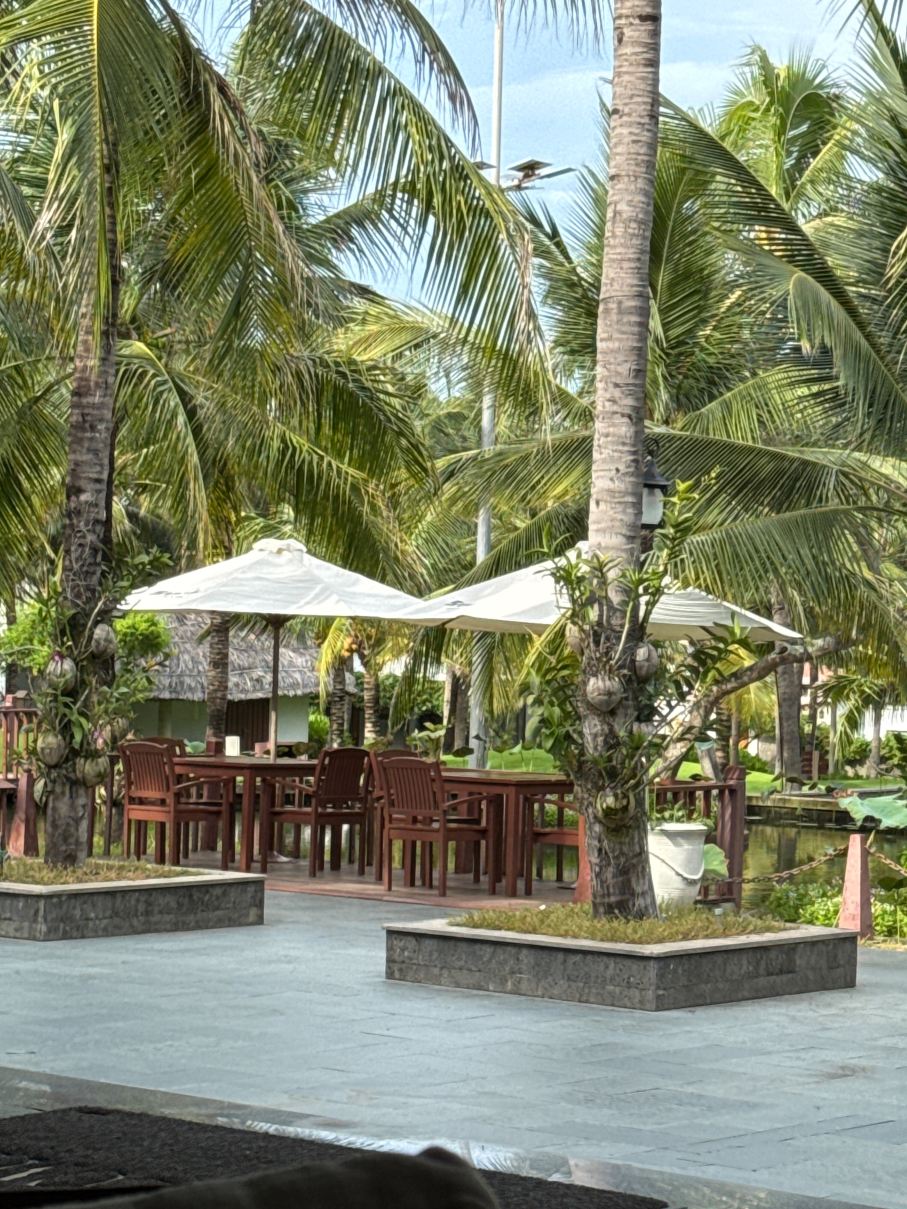 Sonata Resort & Spa-旅行者