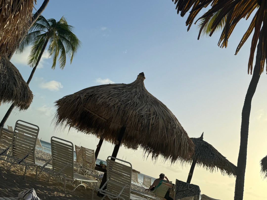 Holiday Inn Aruba-Noord必去景点
