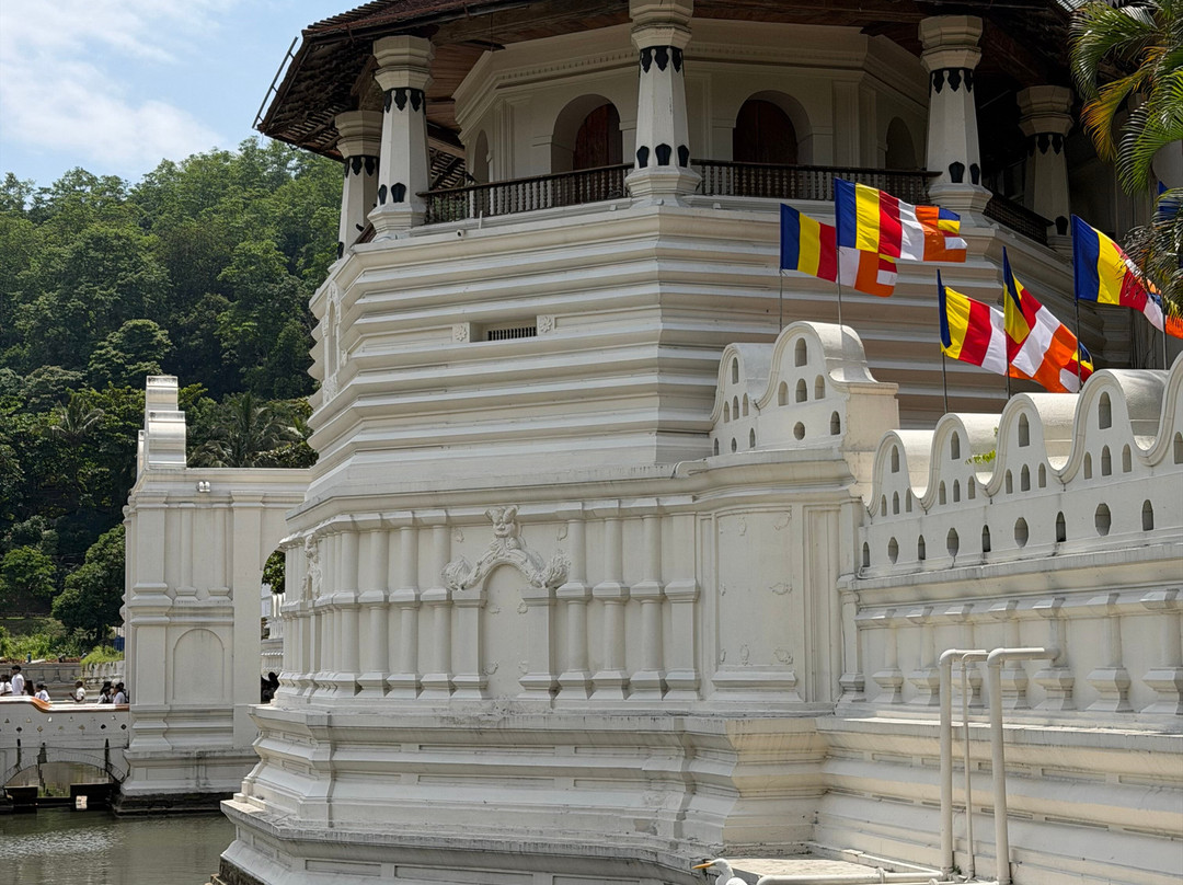 Your Driver Sri Lanka-科伦坡必去景点