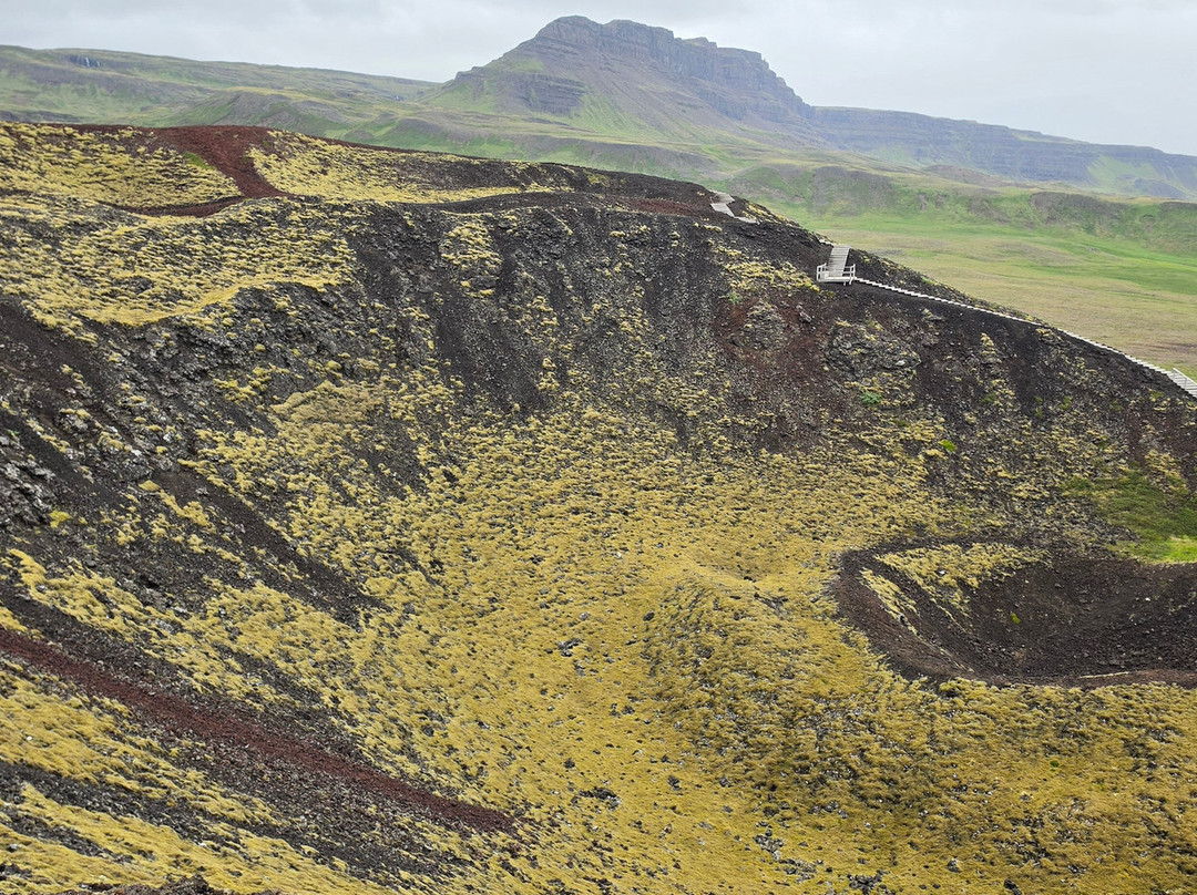 Activity Iceland-雷克雅未克必去景点