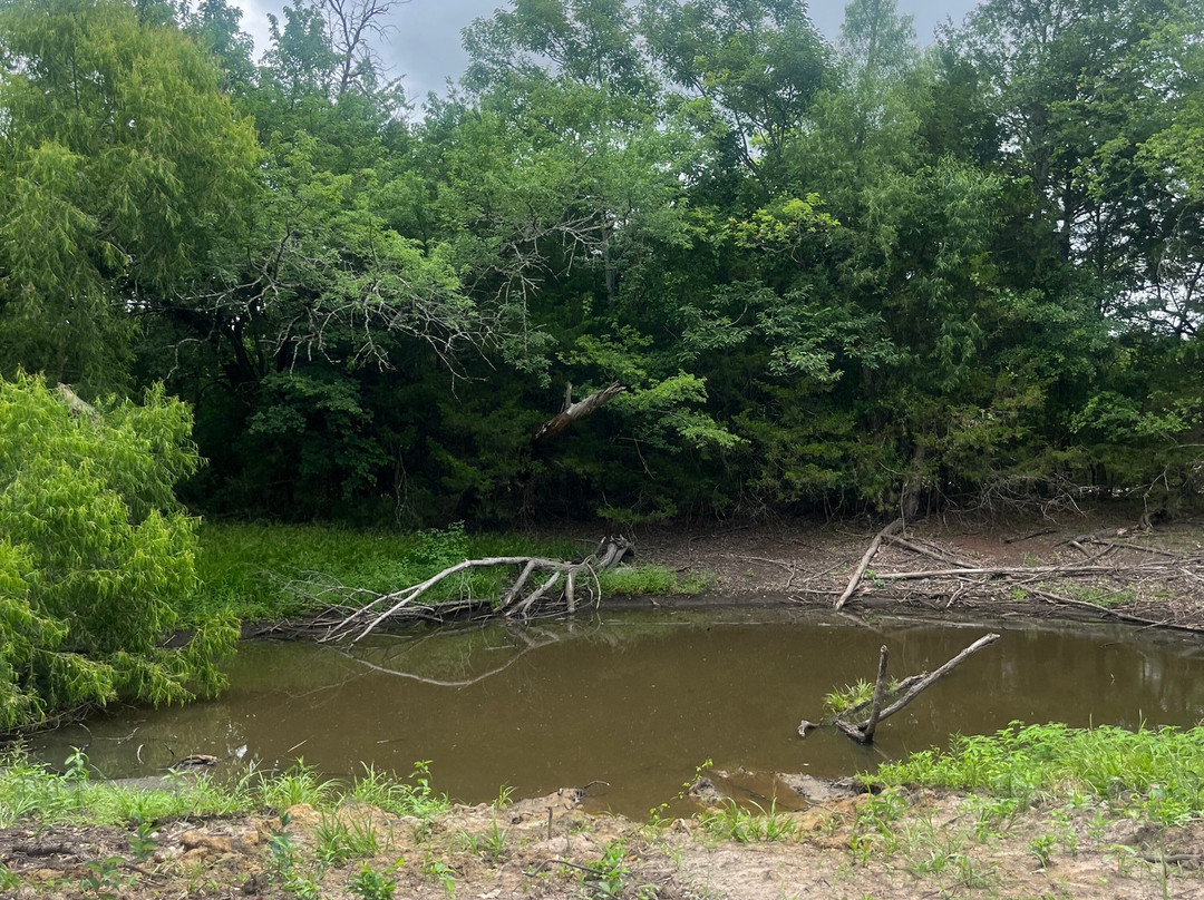 Nature Trails RV Park