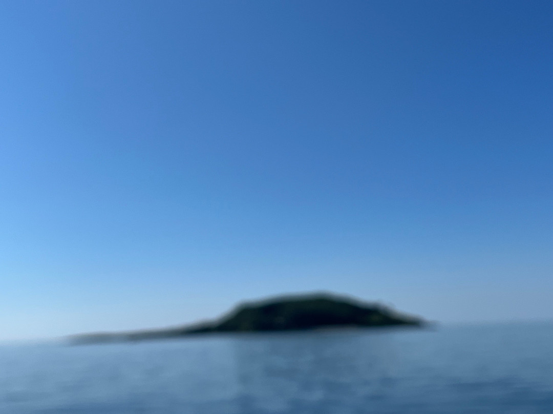 Looe Island-卢城必去景点