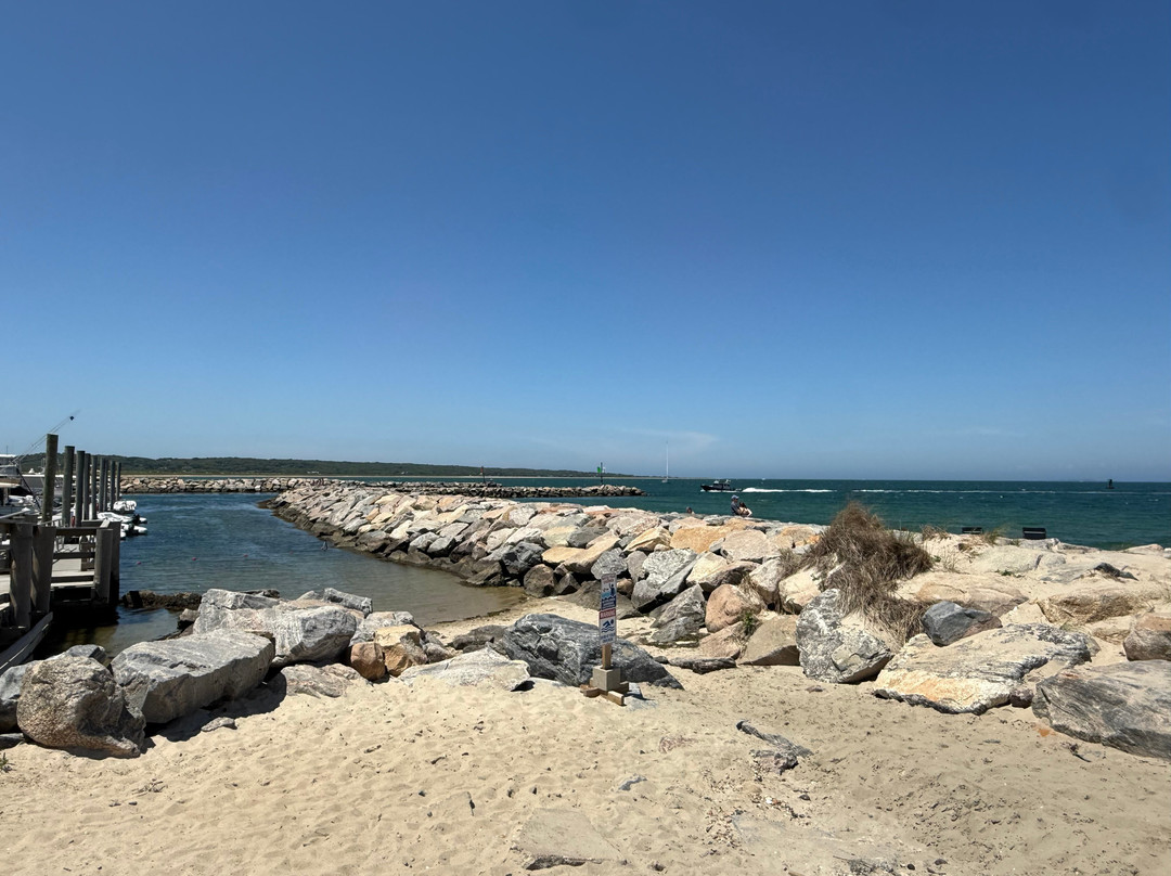 Martha's Vineyard Tours and Excursions-Vineyard Haven必去景点