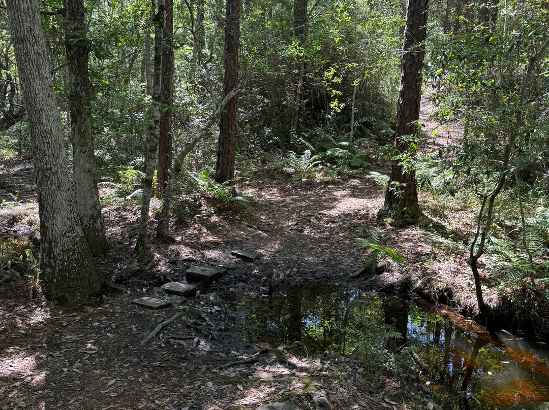 Fontainebleau Nature Trail-Ocean Springs必去景点