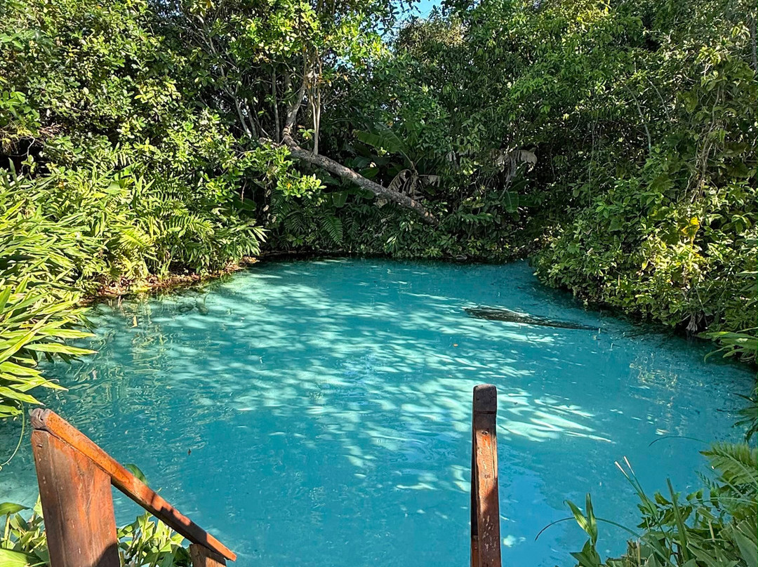 Cerrado Dourado Expedições-Jalapao State Park必去景点