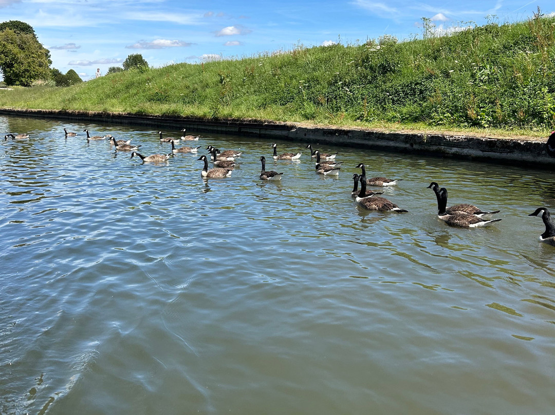 Narrowboat Day Hire-Tring必去景点