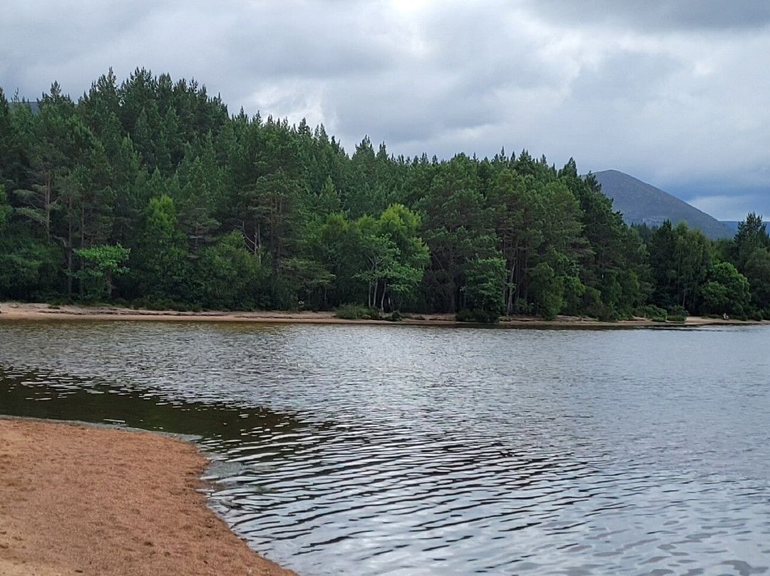 Loch Morlich-阿维莫尔必去景点