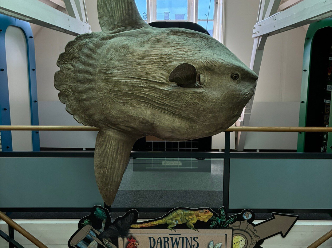 Natuurmuseum Fryslan-吕伐登必去景点