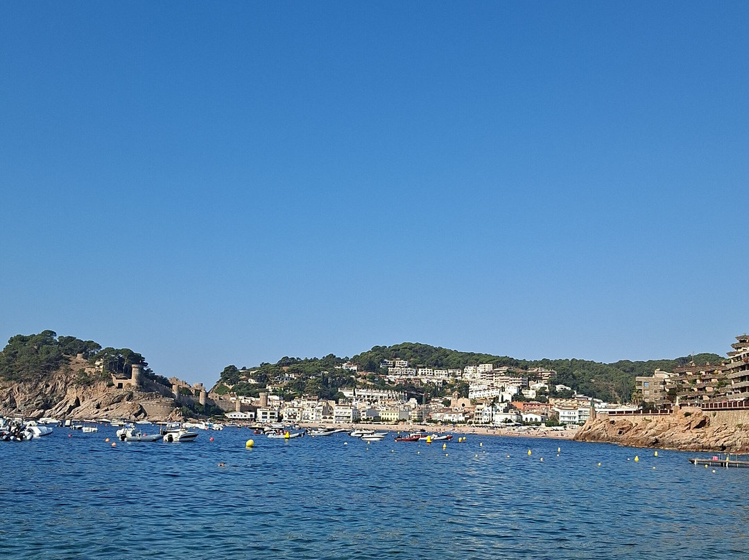 海豚酒店主图
