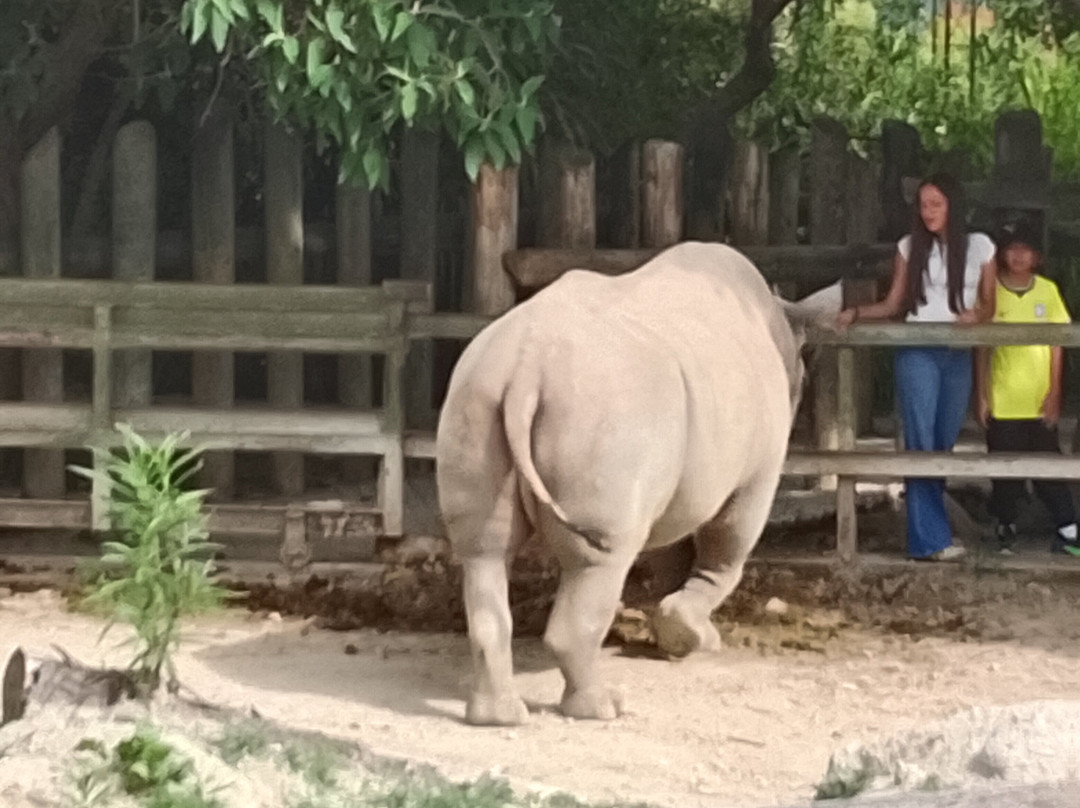 Africam Safari-普埃布拉必去景点