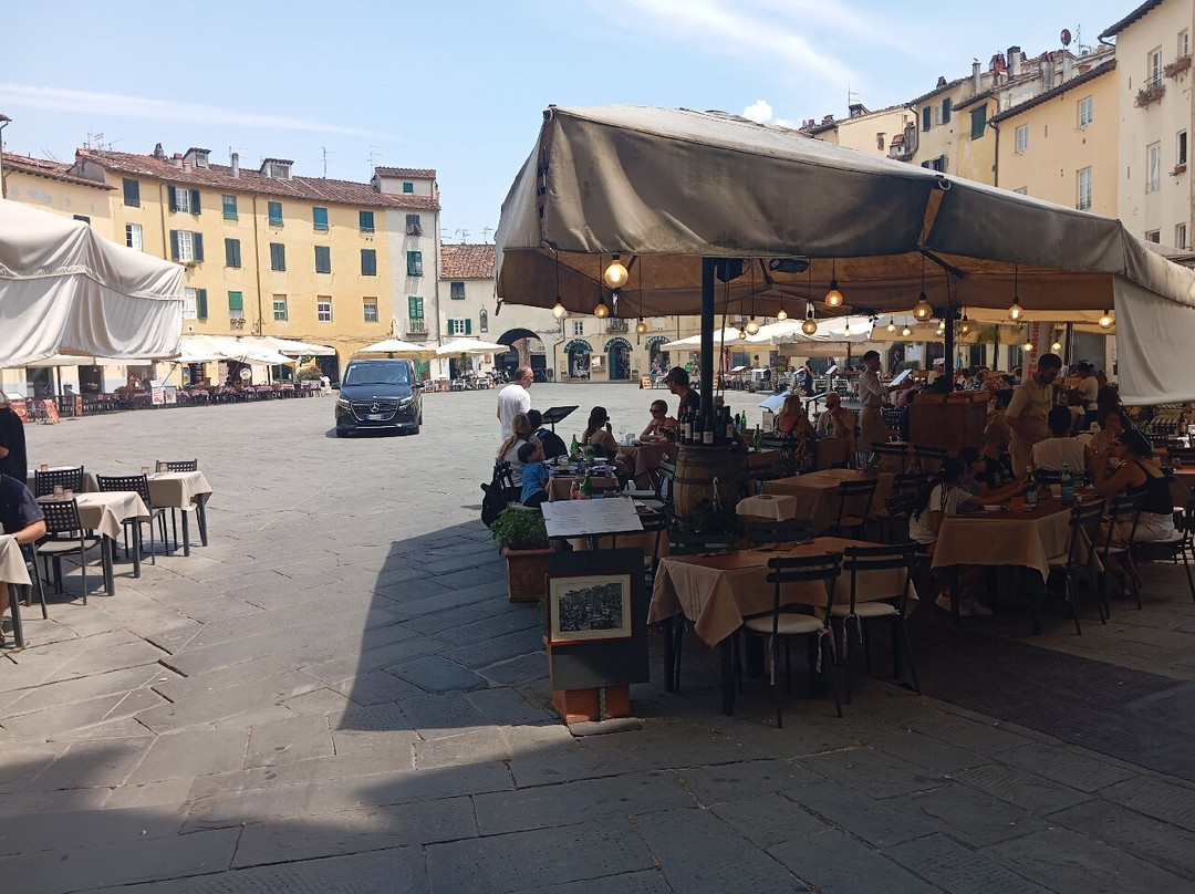 Piazza Anfiteatro-卢卡必去景点