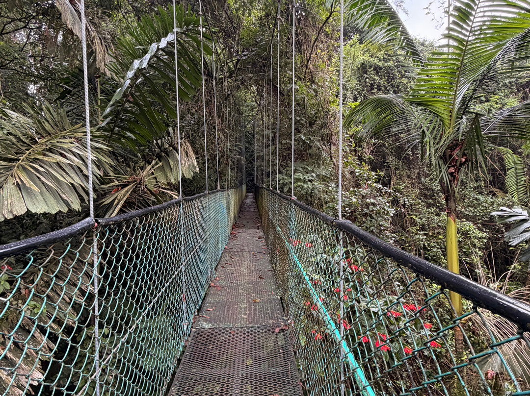 Tirimbina Biological Reserve-La Virgen必去景点