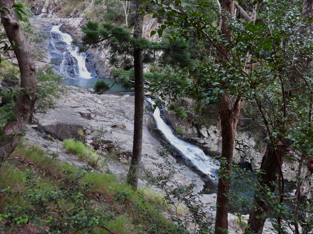 Bos Tours Queensland-Mount Tamborine必去景点