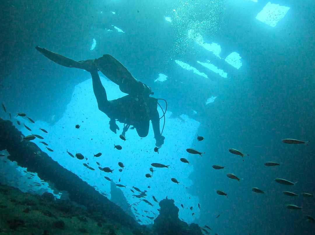 Scuba Addicts Dive Center Passikuda-卡尔库达必去景点