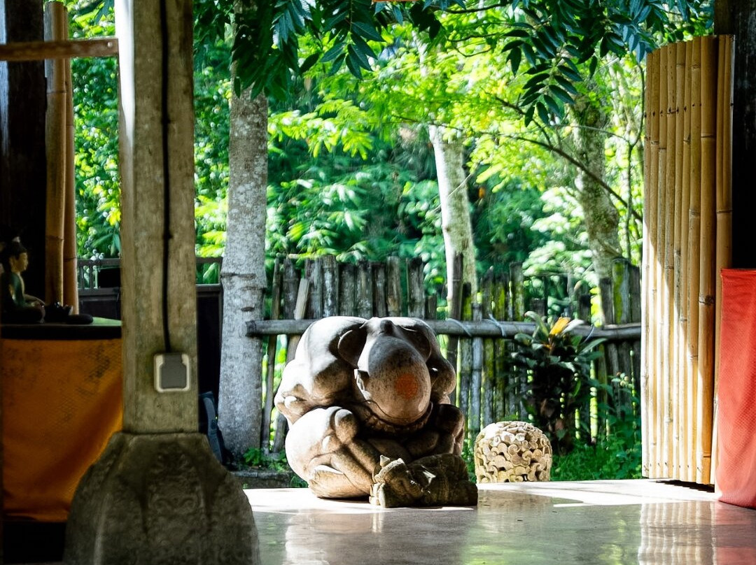 One Fit Wellness - Bali-Mambal必去景点