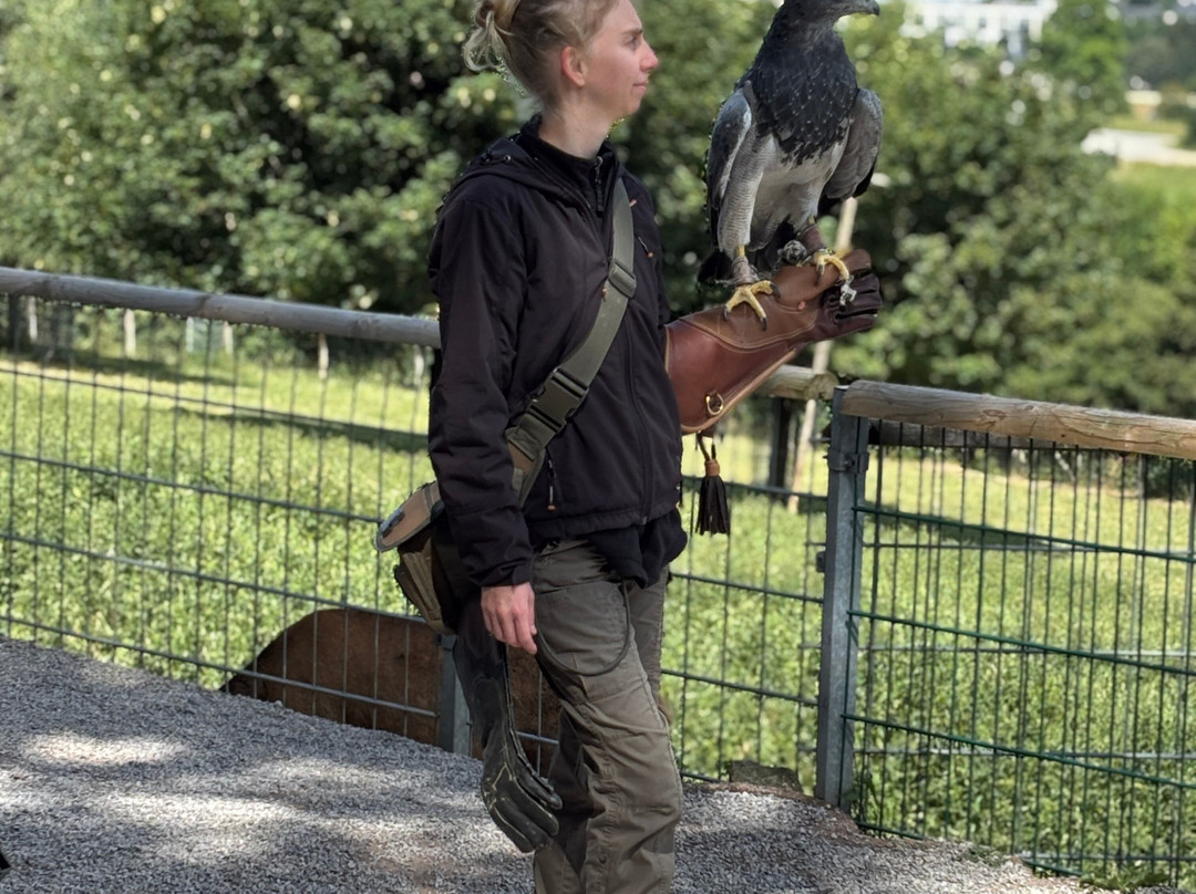 Wild- und Freizeitpark Willingen-Willingen必去景点