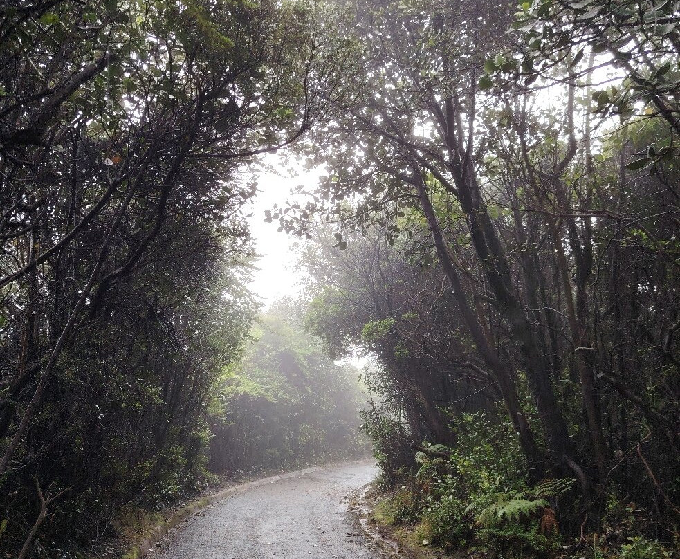 Poas Volcano-Poas Volcano National Park必去景点