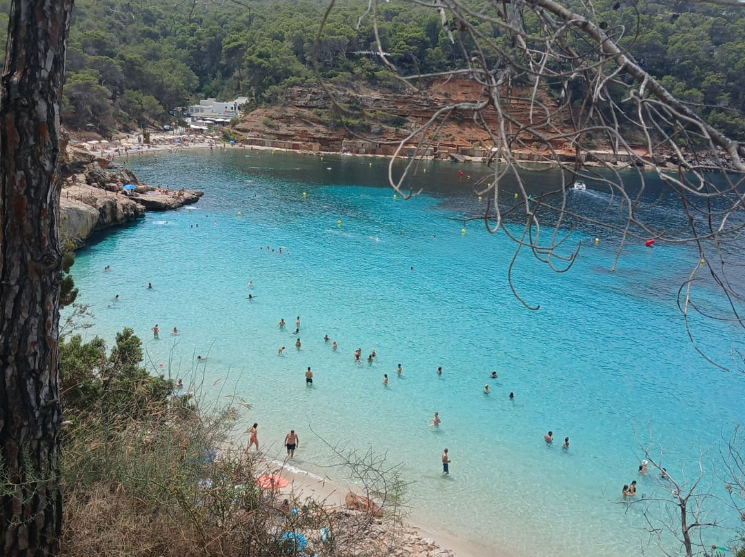 Cala Saladeta-圣安东尼德波特曼尼必去景点