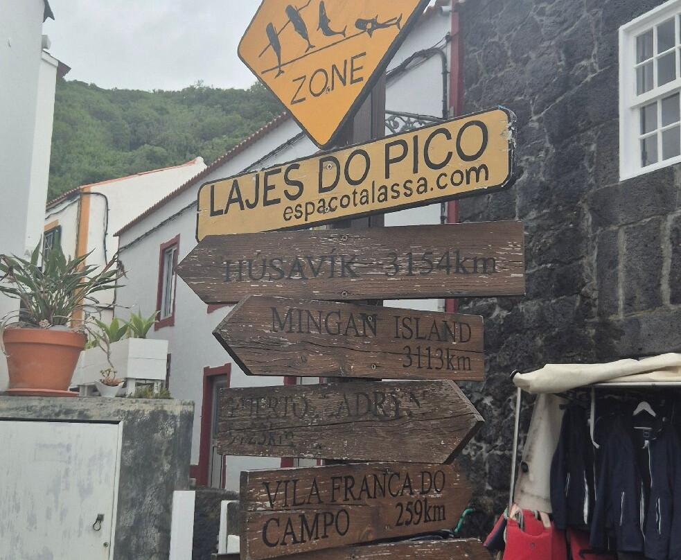 Tripix Azores-Pico必去景点
