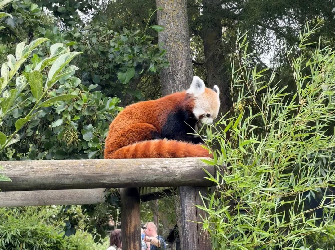 Shepreth Wildlife Park-Shepreth必去景点