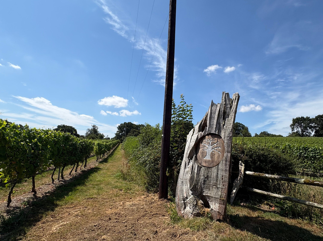 English Oak Vineyard-Lytchett Matravers必去景点