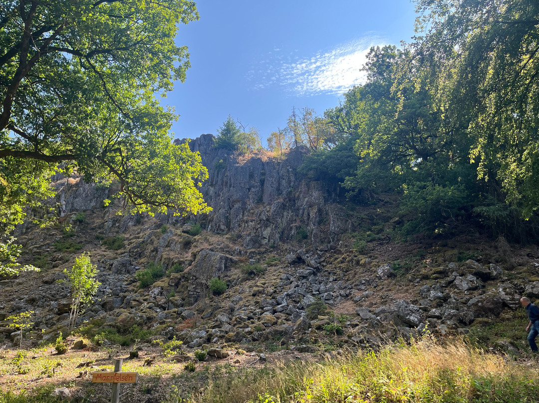Hunnenring der keltische Ringwall-Nonnweiler必去景点