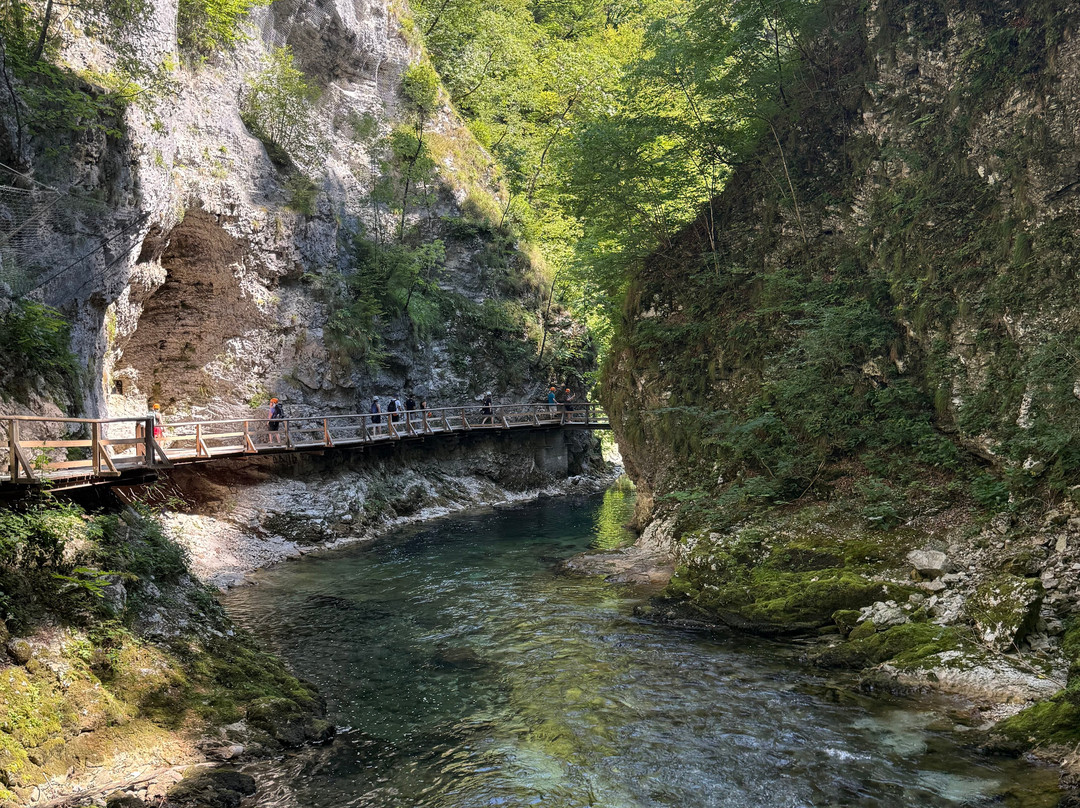 文特加峡谷（Soteska Vintgar）-Zgornje Gorje必去景点
