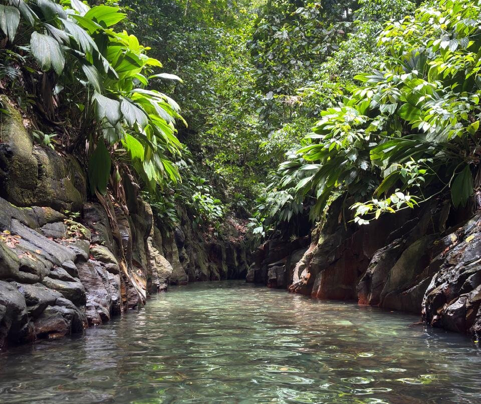 Canyon Moustique-Petit-Bourg必去景点