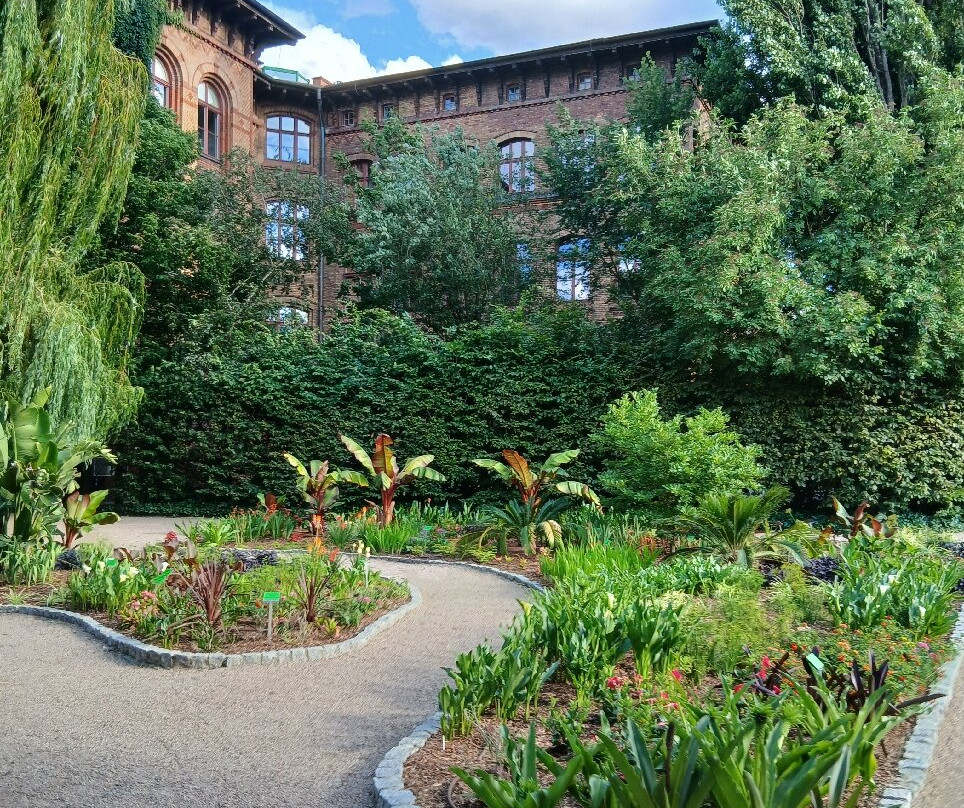 Botanical Garden of the University of Wrocław-弗罗茨瓦夫必去景点