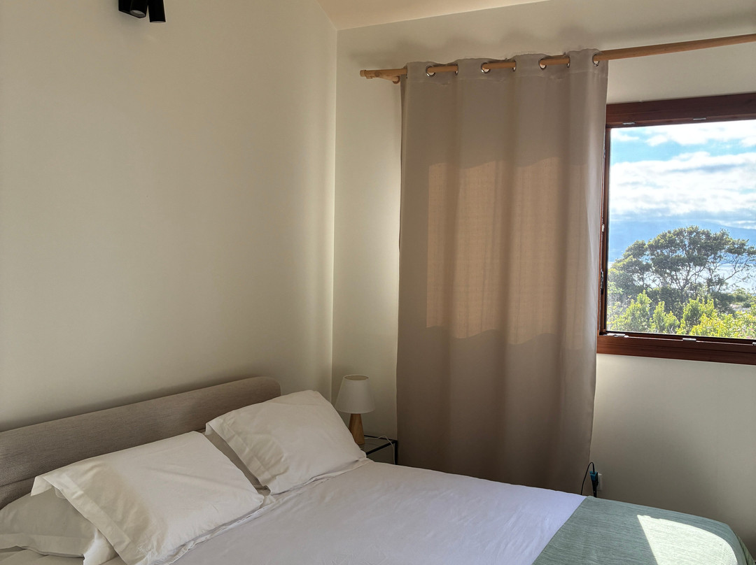 Alma do Pico - Nature Residence主图