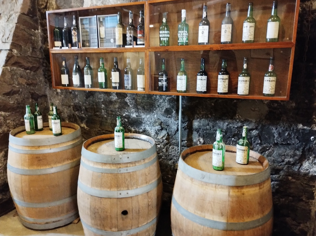 Newman Wine Vaults-圣约翰必去景点
