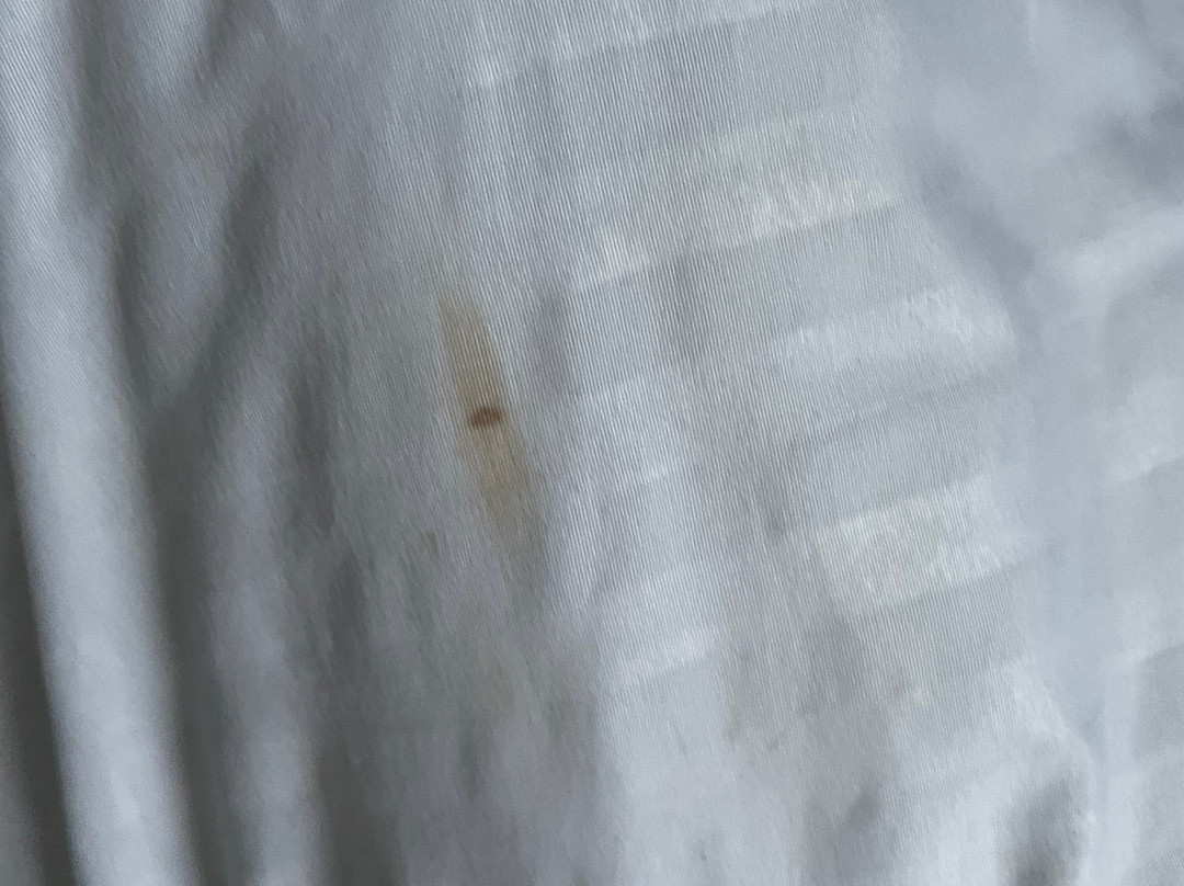 朴次茅斯旅客之家酒店主图