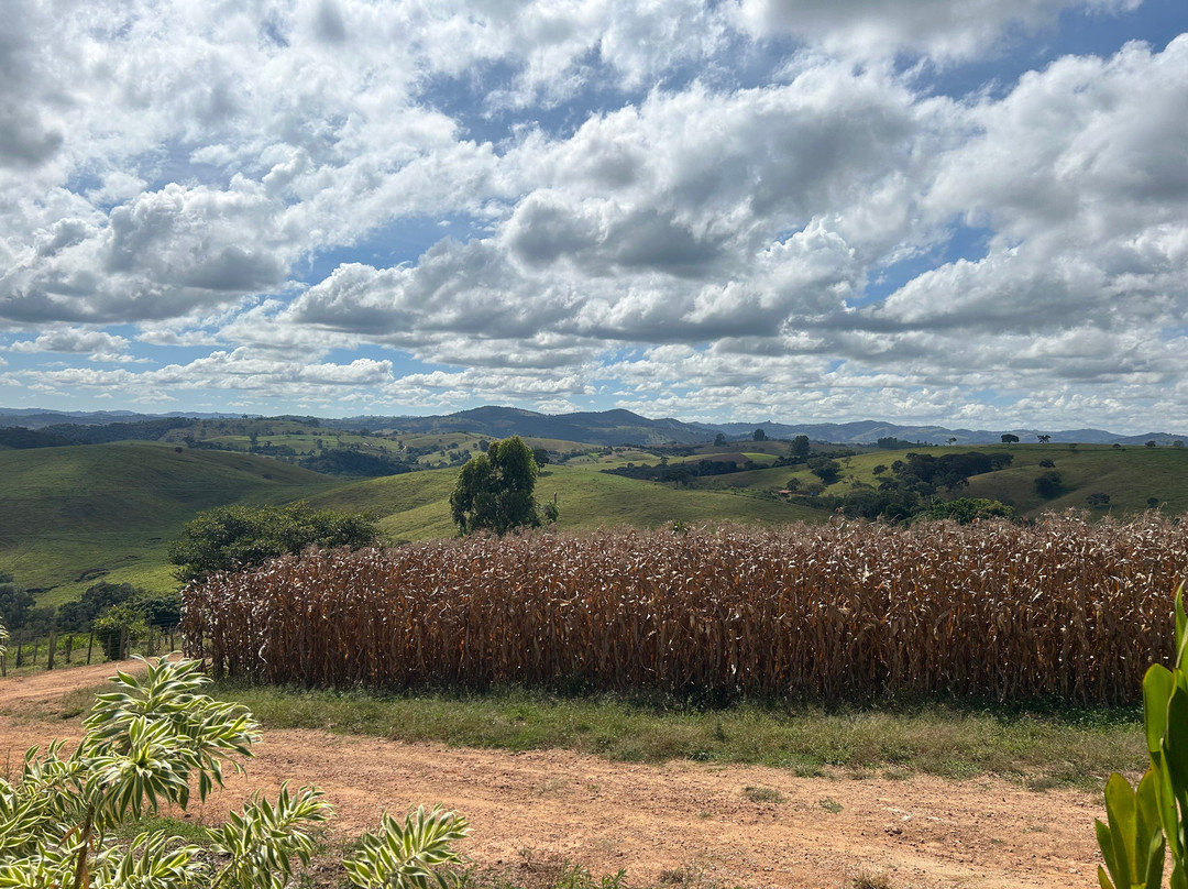Vinícola Estrada Real-Caldas必去景点