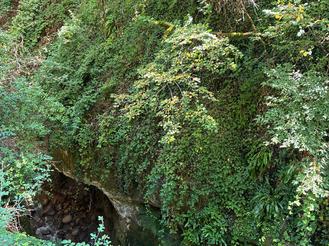 Gorges Du Sierroz-Gresy-sur-Aix必去景点