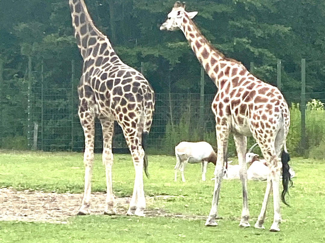Aalborg Zoologiske Have-奥尔堡必去景点