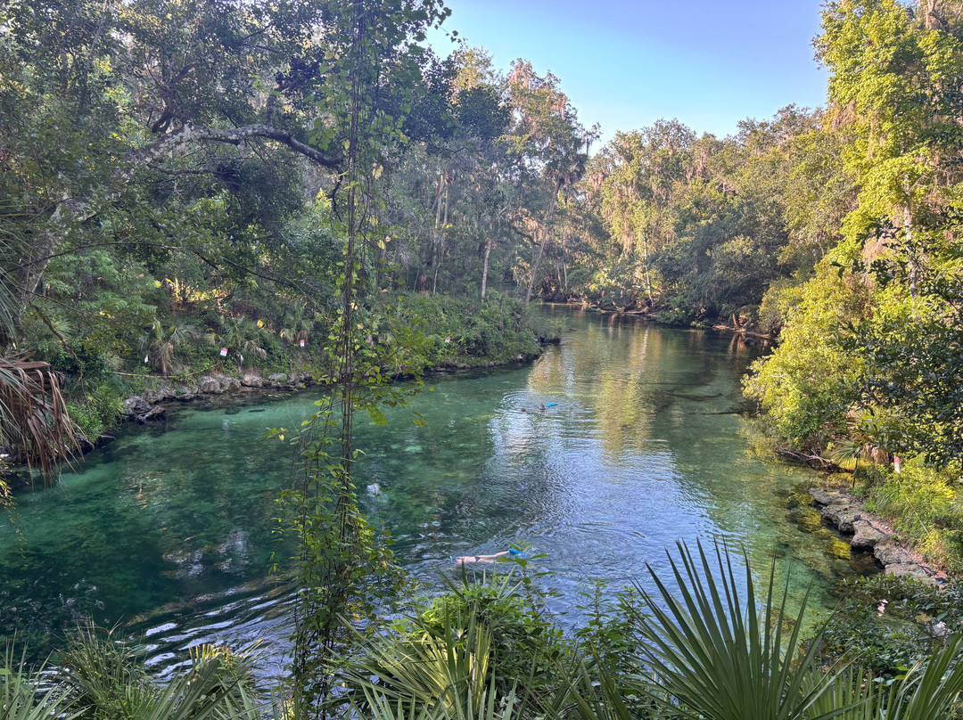 Blue Spring State Park-橙县必去景点