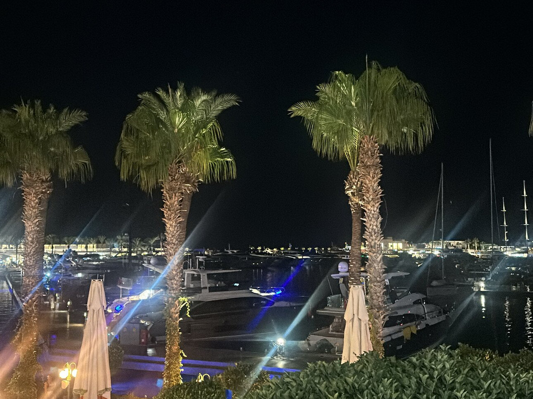 Yalikavak Marina-Yalikavak必去景点
