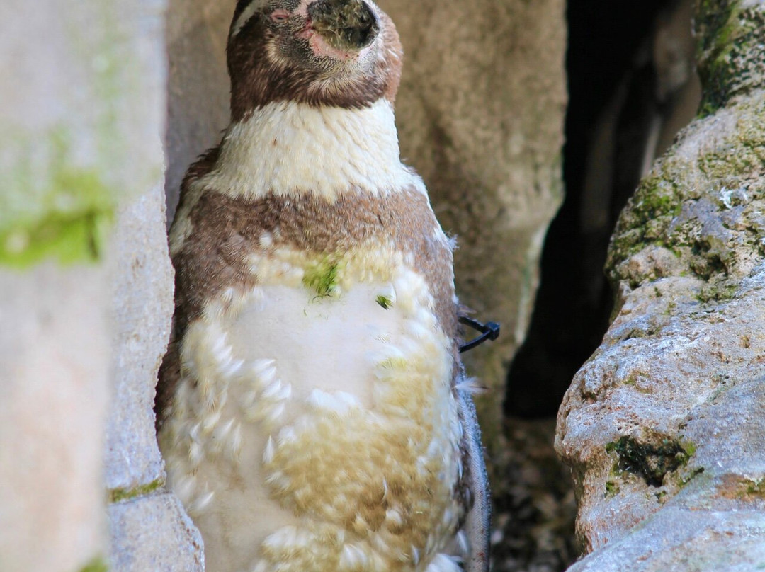 Ozeaneum-施特拉尔松德必去景点