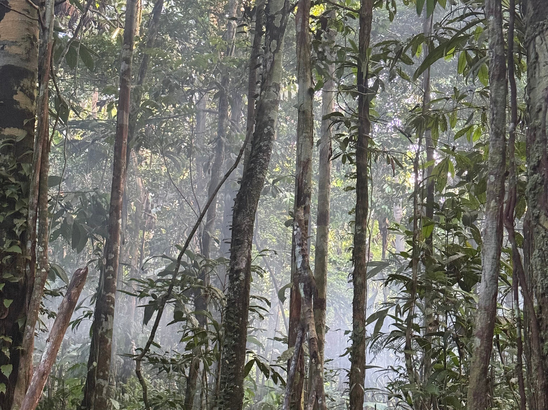Amazon Tour-莱蒂西亚必去景点