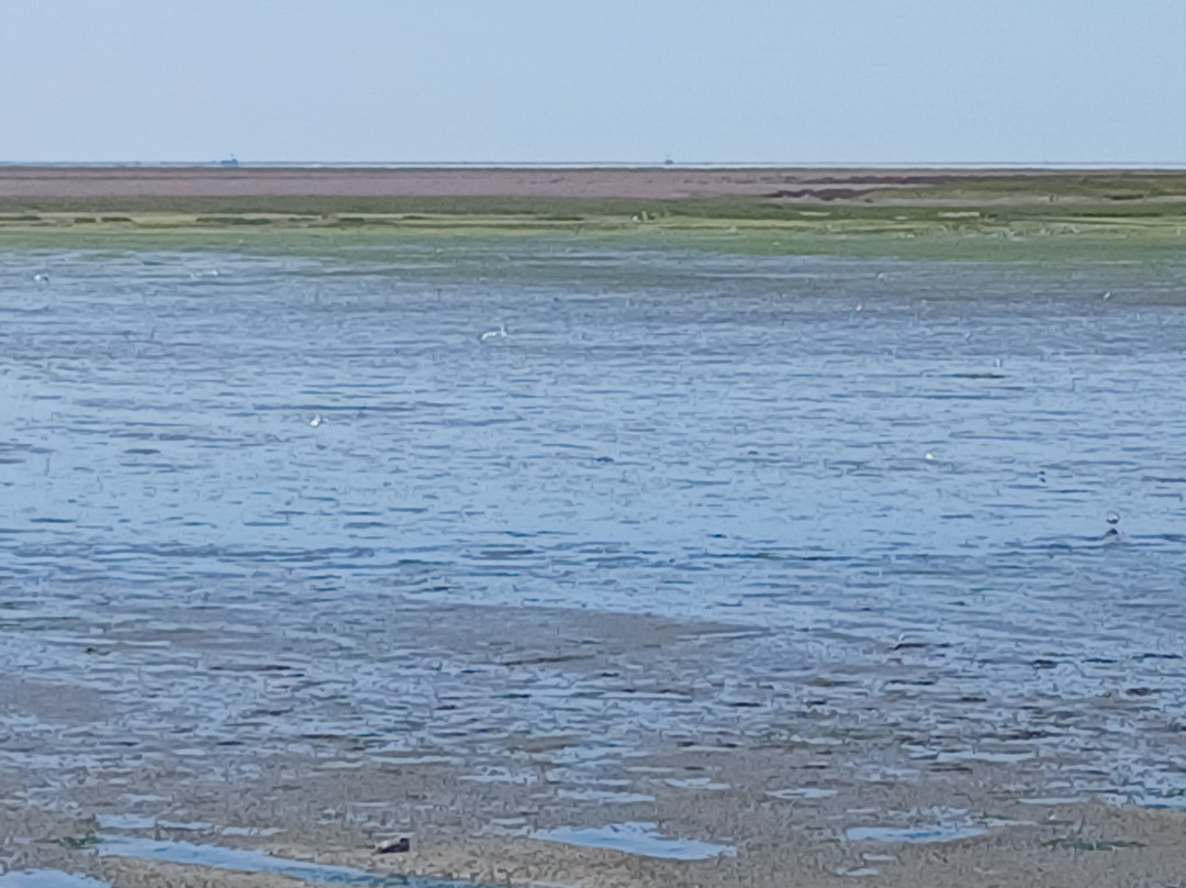 Nationaal Park Schiermonnikoog-Schiermonnikoog必去景点