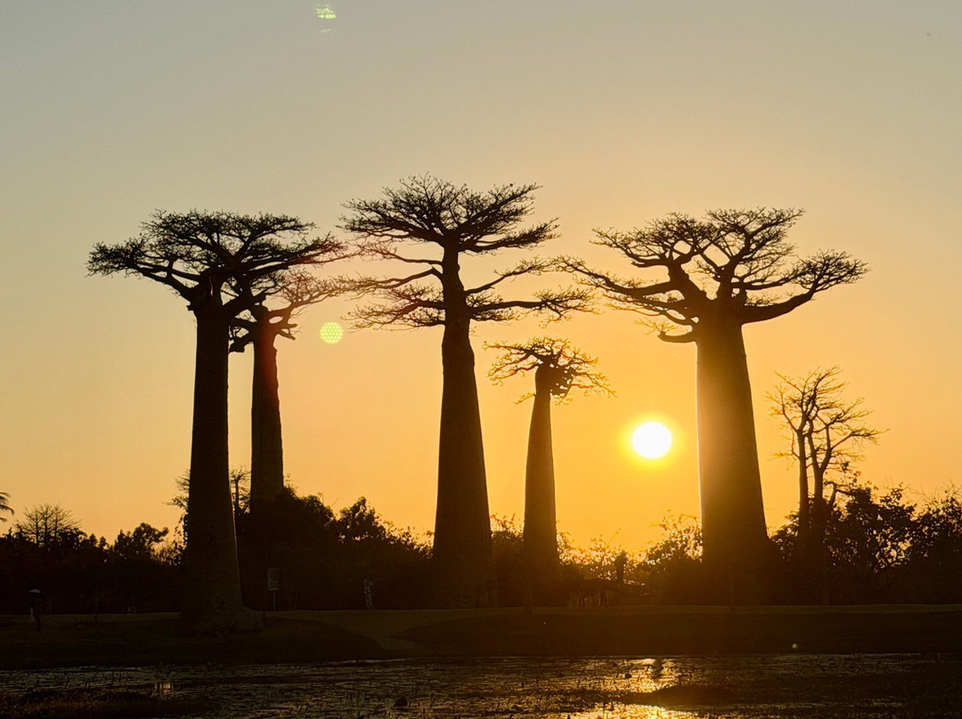 Faniry Madagascar Tours-安塔那那利佛必去景点